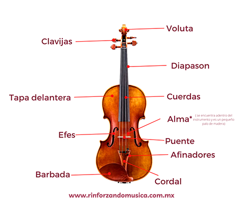 partes del violin