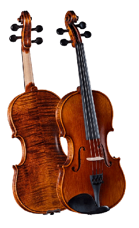 precio violin