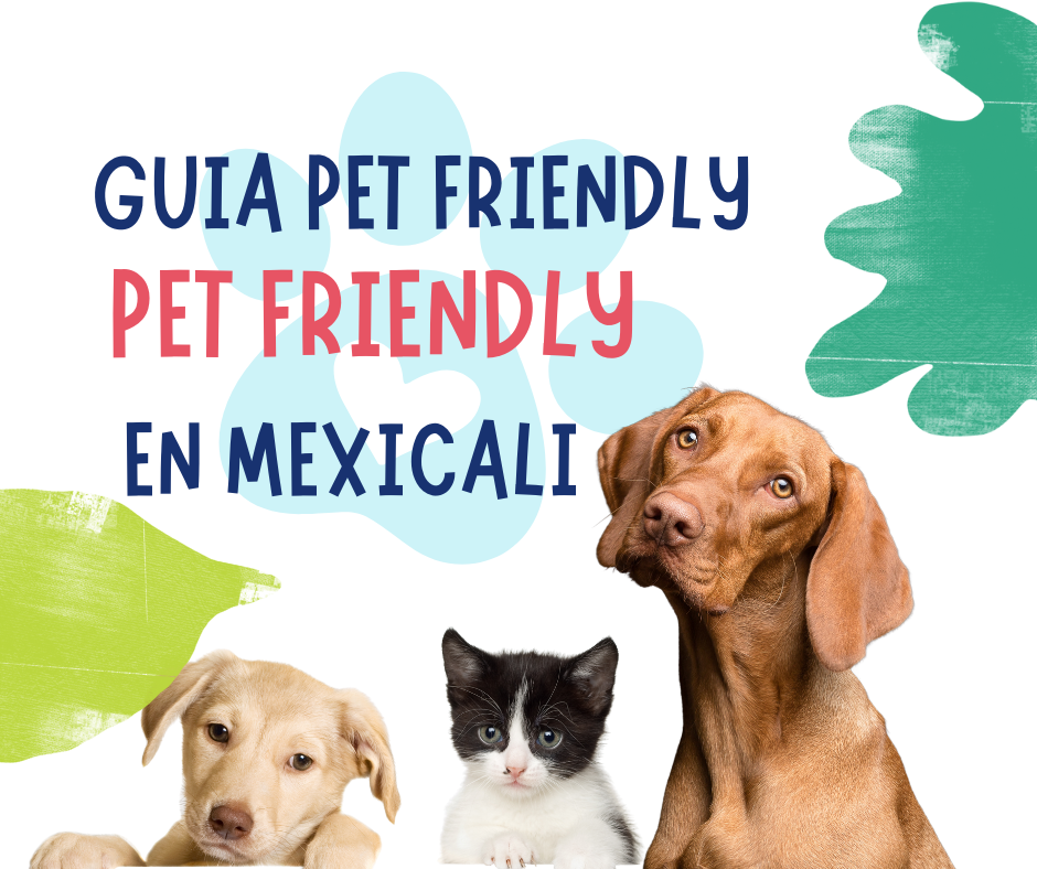 colaboraciones pet